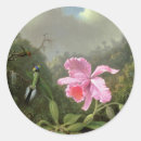 Buscar johnson pegatinas Martin johnson heade