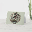 Buscar bonsai tarjetas Árbol