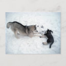 Buscar huskie postales Nieve