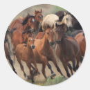 Buscar rodeo fotografía Caballo