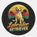 Buscar labrador pegatinas Retriever