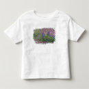 Buscar lupin camisetas Texas