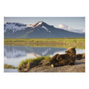Buscar souders de paul fotografía Desierto