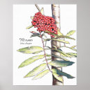 Buscar druida posters Árbol