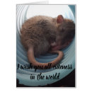 Buscar cuteness Animal