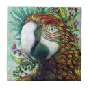 Buscar pájaros tropicales azulejos Colorido