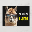Buscar llama postales Moderno