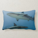 Buscar pete cojines Jardines de la reina