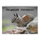 Buscar animal salvaje calendarios Adorable