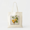 Buscar albaricoques bolsos Fruta
