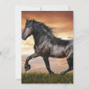 Buscar caballos negros invitaciones Para todos