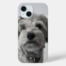 Buscar schnauzer iphone fundas Teléfono