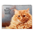 Buscar gatos de tabby calendarios General y unisex