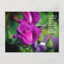 Buscar purple postales Para ella