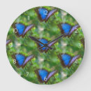 Buscar mariposa azul relojes de pared Colorido