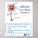 Buscar neuronas posters Cerebro