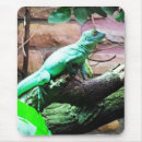 Buscar lechuga alfombrillas de raton Vida silvestre