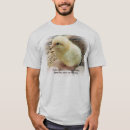 Buscar desplumadora Pollo