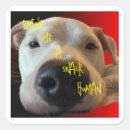 Buscar funny dog etiquetas Adorable