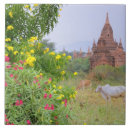 Buscar birmania azulejos Myanmar
