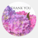 Buscar hydrangea purpura pegatinas Hidrangeas
