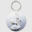 Buscar cisnes llaveros Lago