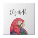 Buscar pájaro del mascota azulejos Animal