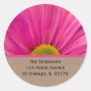 Buscar gerberas pegatinas General y unisex