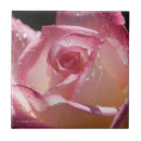 Buscar baldosa rosada azulejos General y unisex