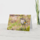 Buscar hembra tarjetas Pájaros
