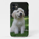 Buscar perro perdiguero fundas Lindo