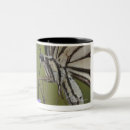 Buscar swallowtail tazas Horizontal