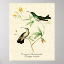 Buscar historia natural posters Vintage