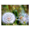 Buscar dientes blancos posters Primavera