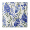 Buscar delfín azulejos Verde