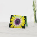 Buscar admiración tarjetas Aprecio