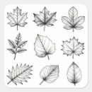 Buscar dibujo botánico pegatinas Dibujado a mano