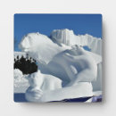 Buscar oso polar placas fotograbadas Nieve