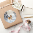 Buscar ovejas lindas pegatinas Navidades