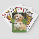 Buscar perros barajas de cartas Para él