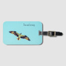 Buscar osprey Animal