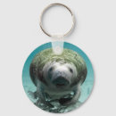 Buscar manati llaveros Adorable