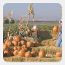 Buscar heno pegatinas 1 º caída