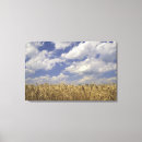 Buscar trigo lienzos Cosecha