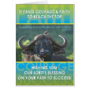 Buscar búfalo africano postales Salvaje