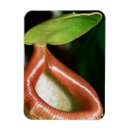 Buscar enorme imanes Planta