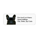 Buscar french bulldog postales Adorable