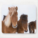 Buscar iceland alfombrillas de raton Pony