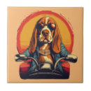 Buscar ciclistas azulejos Motociclista