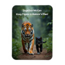 Buscar gatos lindos imanes Para todos
